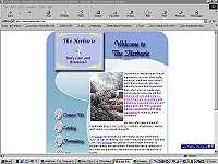 Web Site Design and Development - professional service from CYBERFIEDS.com - Columbia, SC