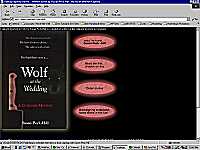 Web Site Design and Development - professional service from CYBERFIEDS.com - Columbia, SC